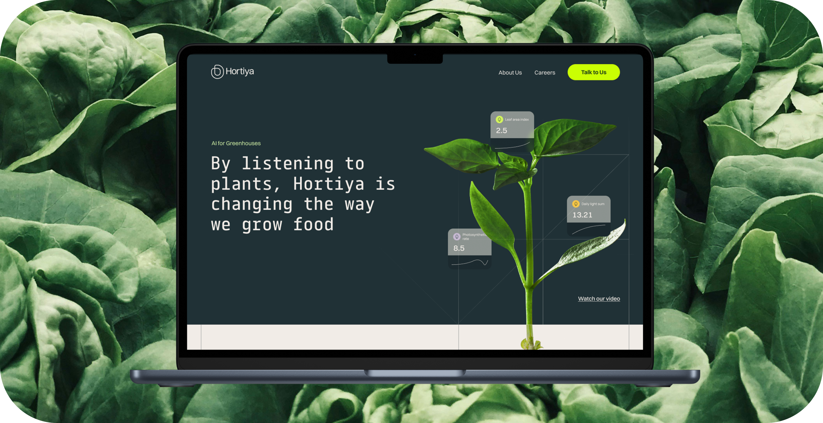 Website design for agri-tech startups. Hortiya website in a laptop. "By listening to plants, Hortiya is changing the way we grow food"