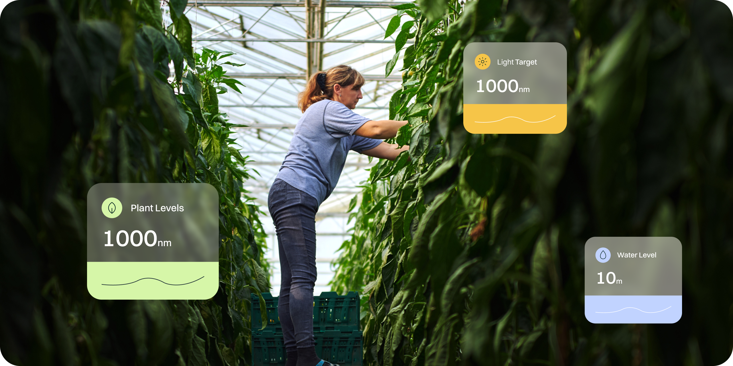 Website design for agri-tech startups. Various UI layouts. "Light Target" "Plant Levels" "Water Level"